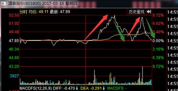 股票指数期货的相关案例