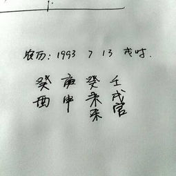 农历1993年7月13日20时的八字是怎样的