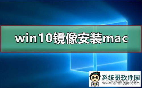 如何苹果电脑win10镜像文件