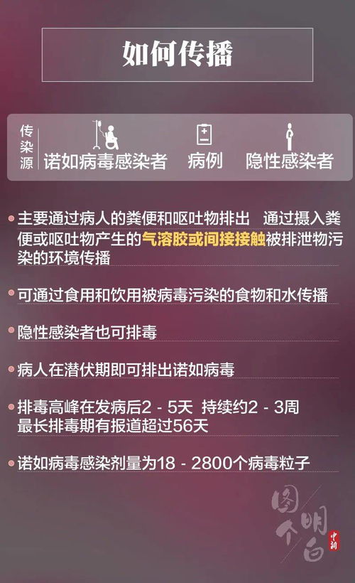 紧急封园 广东一幼儿园63人感染... 市区这座桥全封闭