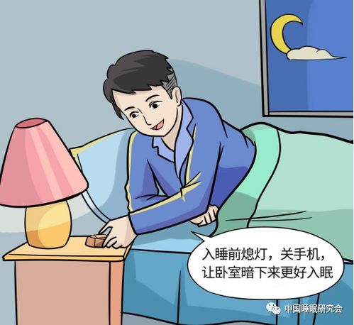 睡眠文化的相关知识