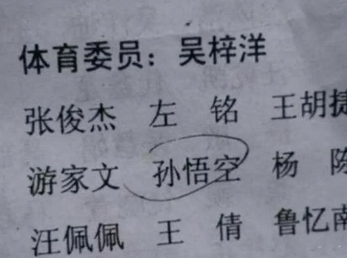 名字怎么也写不完 ,只因103笔画名字,男孩考试交不上卷