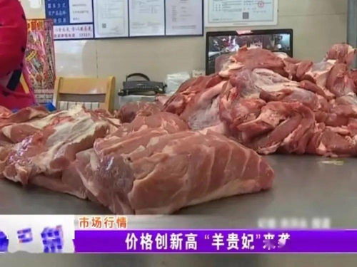 羊肉价格上涨，具体原因是什么