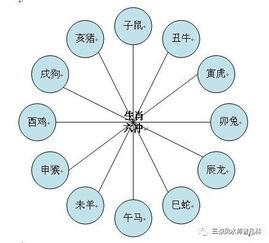 十二生肖刑冲克害的关系 