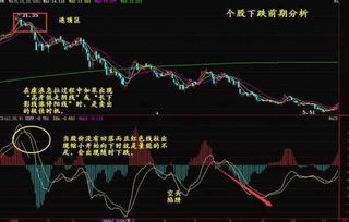 八种MACD王者指标形态详细解析，你知道的有几种