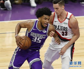 nba开拓者本赛季球员名单,开拓者队球员名单,2019-2020赛季阵容介绍