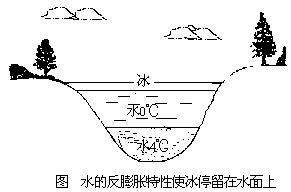 水为什么是反膨胀物体 