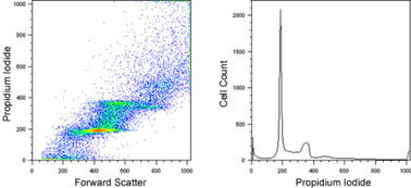 PI单染色法的实验原理