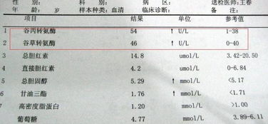 乙肝大三阳病毒量高怎么办