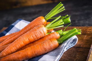 胡萝卜的最佳种植时间,山西露天胡萝卜什么时间种植最好