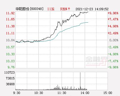 两人投资23万，一人10万，另一人13万，各占多少股份