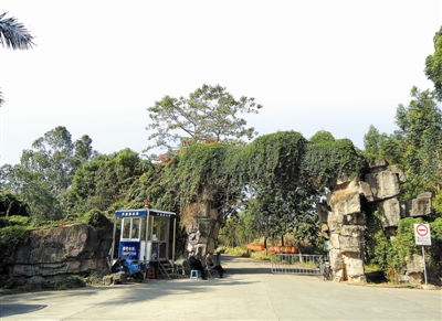 平湖生态园 期待更美丽 