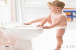 宝宝不爱上厕所便便该怎么办 