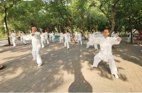 拳友感悟 习练太极拳的好处