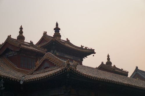 雍和宫打卡 北京香火最旺的寺庙