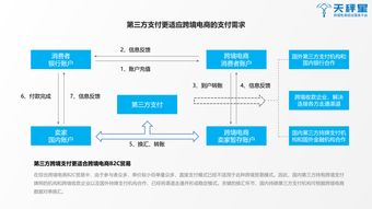 天秤星数据研究院 2019跨境支付行业白皮书 全文