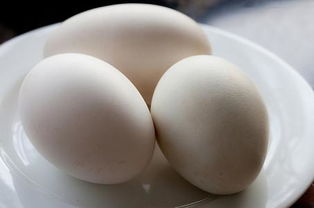 鹅蛋有什么营养？鹅蛋的营养价值与功效是什么
