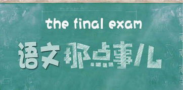 高考特招项目有哪些(高考冲刺支招从哪方面把语文复习好)