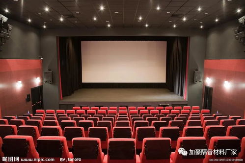 宁津电影院最近节目单,宁津文化艺术中心参观要求
