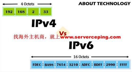 美国站群服务器有多少IP IP数量是怎么计算的 (美国网络服务器地址)