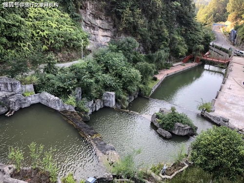 贵州桐梓最美避暑房,万亩森林天然泉眼,山清水秀23 清凉一夏温泉过冬