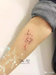 Tattoo 纹身素材 十二星座之天蝎射手座 