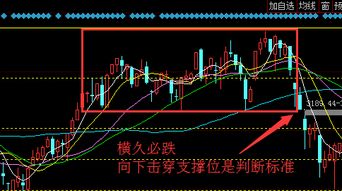 维持小阴小阳态势什么意思