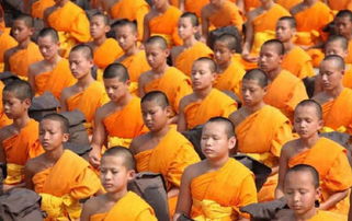 泰国信佛男子必当一次和尚 王室贵族也不例外,中国人都不敢相信 