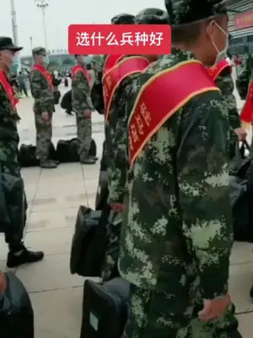 当兵选什么兵种好 兵爸兵妈 入伍参军 加油少年未来可期 当兵知识 参军知识 这大概就是青春的样子 儿子加油 