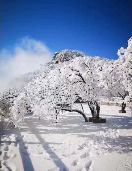 雪景太美,来了这里你还想走吗 陕西冬日必去旅游景点推荐