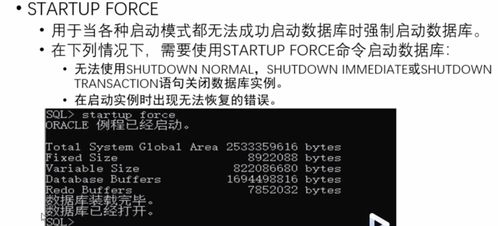 Oracle的实例和 shutdown命令