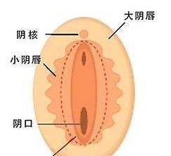 图组 女人高潮来临时的身体表现