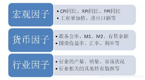 国内股票的量化投资策略有哪些，特别是基本面量化