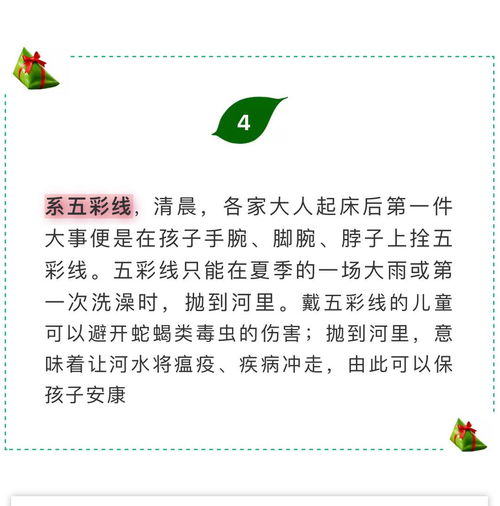 端午粽向我们介绍了粽子的