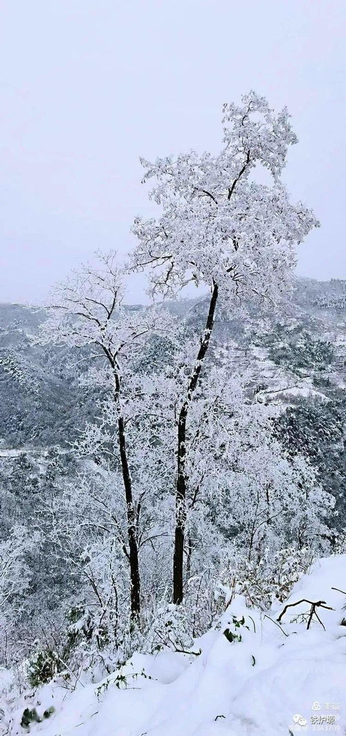 骊山雪景 冯炜