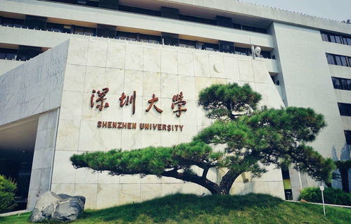 深圳大学社工考研自考本科,自考本科能不能报考深圳大学在职研究生