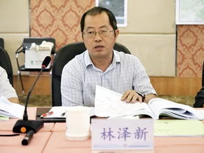 城西南排通道工程项目建议书技术咨询会在杭召开