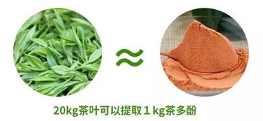 好物分享│ 茶中瑰宝 茶多酚