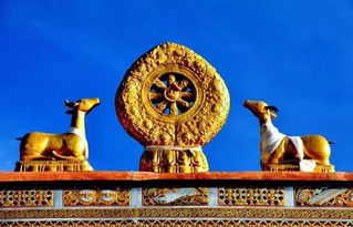 开车2000多公里,为了到西藏唯一的财神庙,拜财神