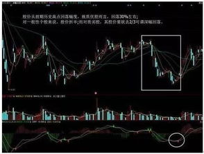 怎样操作macd选股不亏损？macd选股铁律是什么