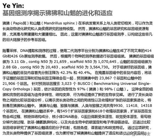 避免致谢成论文查重难题：实用指南