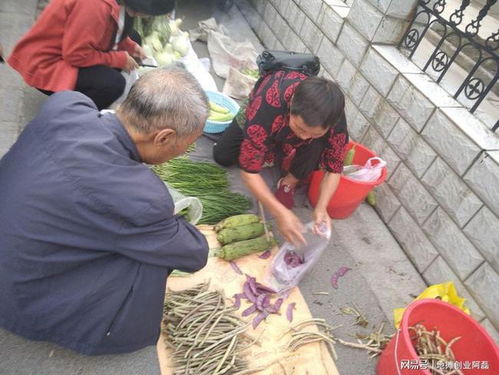 摆地摊卖什么好 现在我教大家进货选货,连老手都不知道的常识