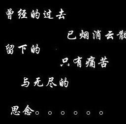 白鹿字体属于什么类型