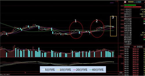 一般我们的均线怎么调的？短线和中长线怎么调更好？