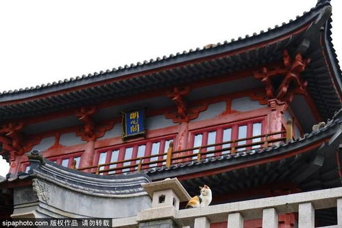 京城名刹古寺众多 这十二座最著名 看看您去过几个