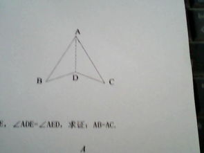 如图所示,已知AB AC,BD DC,图中有相等的角吗 请找出来并说明理由 