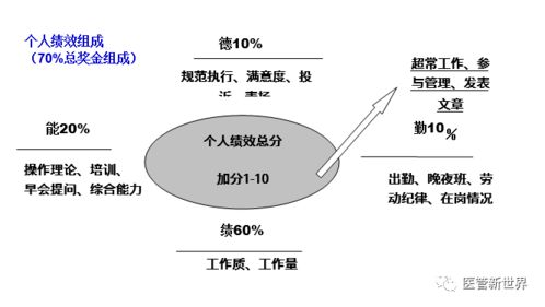 护理绩效考核实施方案 附三个讨论稿