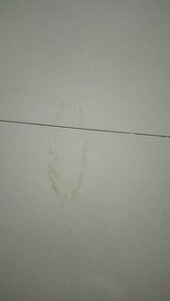 白地板上有脏痕迹怎么洗掉 