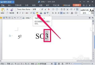 WPS文字怎么输入上标或下标