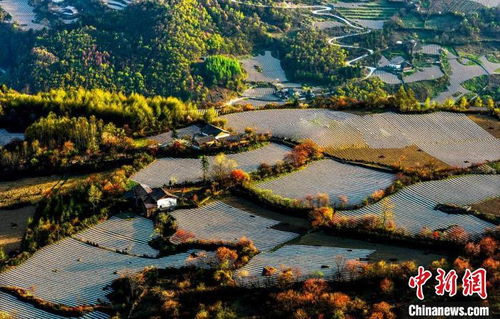 四川宝兴 夹金山下耕种忙 硗碛藏寨满眼春 